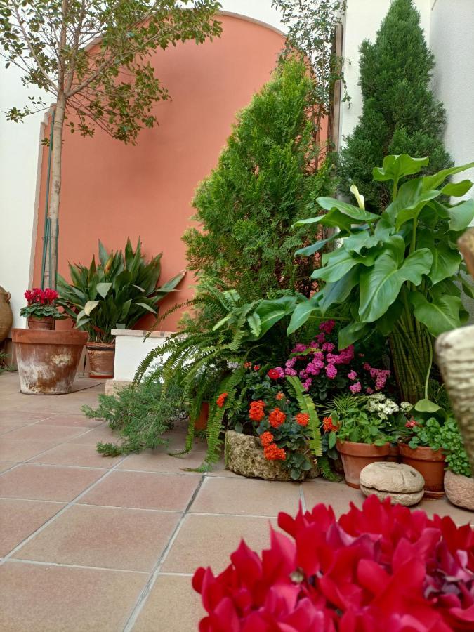 Apartmán Ziza Córdoba Exteriér fotografie